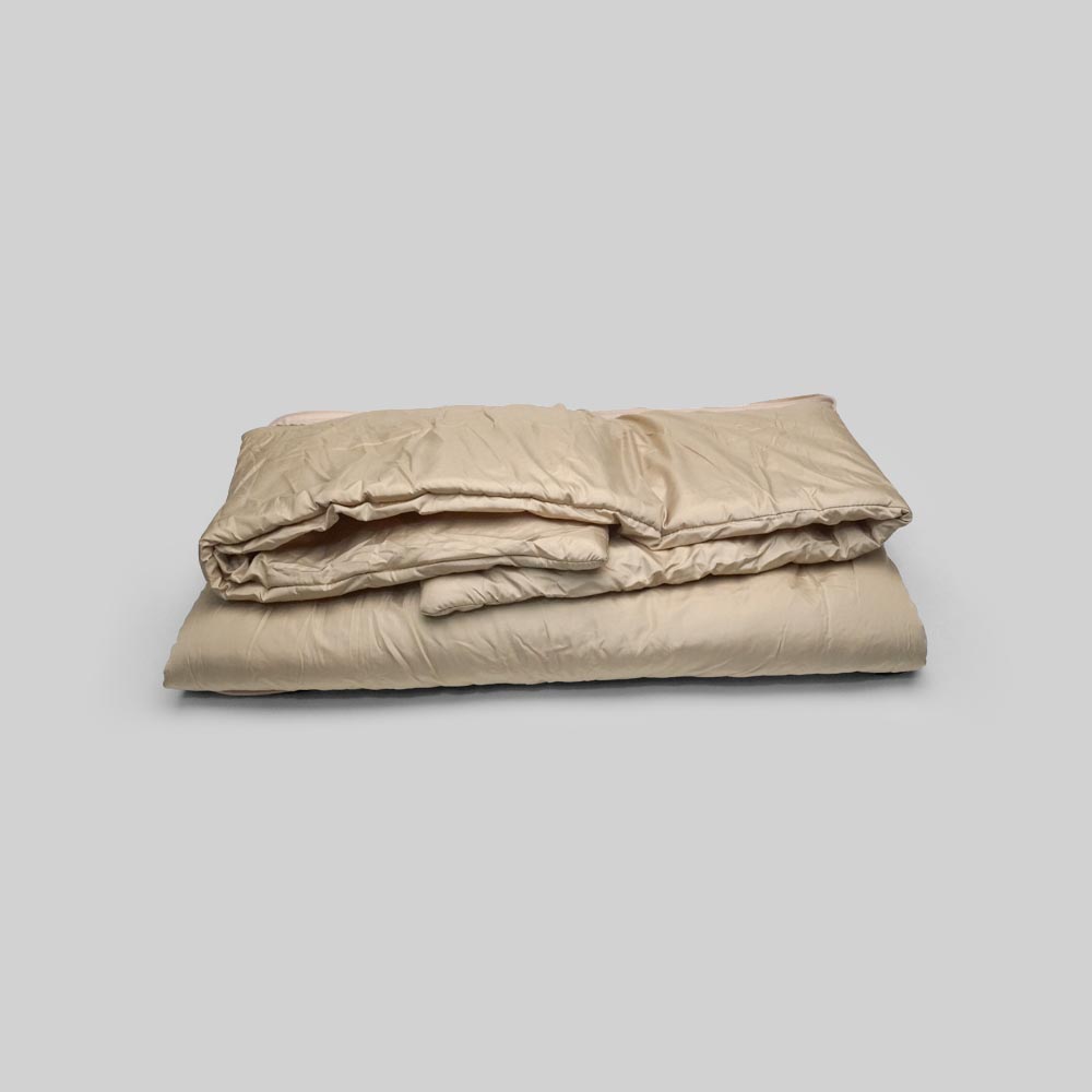 2 in 1 Blanket Cushion